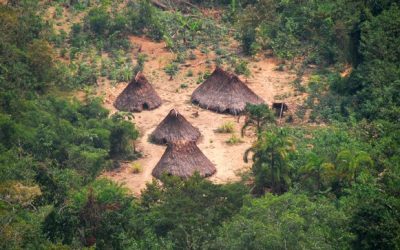 Se crea reserva indígena Kakataibo Norte y Sur con casi 150 mil hectáreas de bosques
