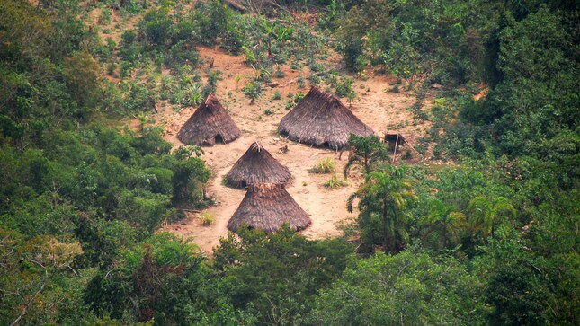 Se crea reserva indígena Kakataibo Norte y Sur con casi 150 mil hectáreas de bosques