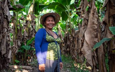 ONAMIAP exige «una reforma agraria integral, desde nosotras, con nosotras y cuidando a la Madre Tierra»