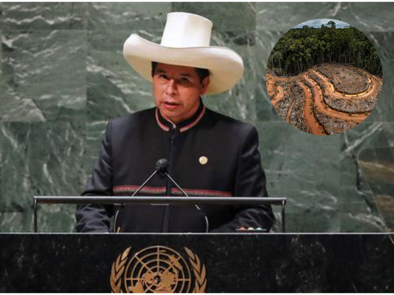 Presidente Castillo se compromete a declarar Emergencia climática ante la ONU