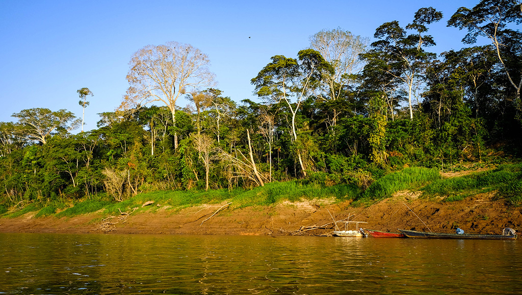 La deforestación por minería de oro aumentó un 90% en la Amazonía