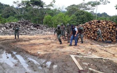 Gobiernos Wampís y Awajún piden conformar comisión intersectorial de alto nivel contra la tala y minería ilegal