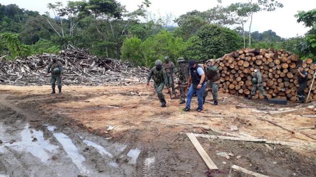 Gobiernos Wampís y Awajún piden conformar comisión intersectorial de alto nivel contra la tala y minería ilegal