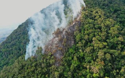 Selva Central: Alertan de incendio forestal en el Parque Nacional Cordillera Azul