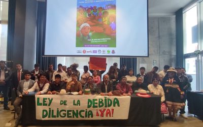 Por una Ley de Debida Diligencia en Perú: Lanzarán campaña para recolectar un millón de firmas