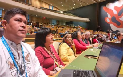 Pueblos amazónicos presentes en Foro Permanente de Naciones Unidas para las Cuestiones Indígenas