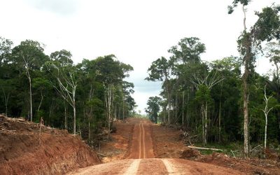 Pueblos indígenas exigen cancelar proyecto en la Amazonía que pone en peligro a los PIACI