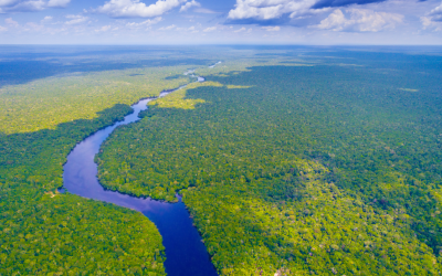 Pronunciamiento: ¡Emergencia Nacional! La Amazonía arde y el Estado permanece indiferente