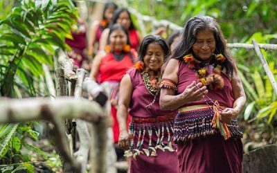 Día Internacional de las Mujeres Indígenas: El GTAA implementa ordenanzas para garantizar los derechos de las mujeres awajún