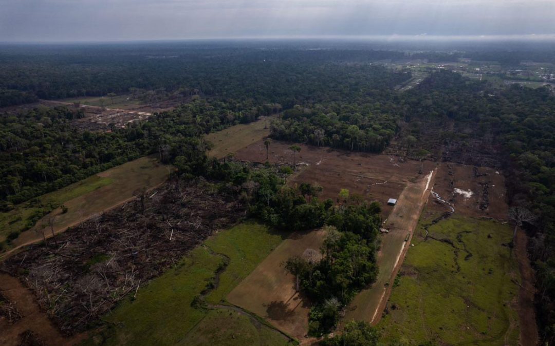 Opinión: «Los Menonitas en la Amazonía Peruana: una amenaza neocolonial enmascarada por fe y religiosidad»