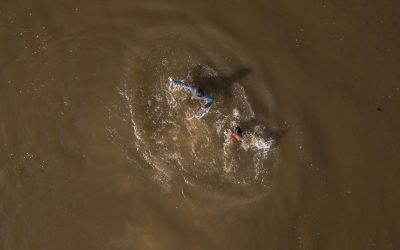 Mercurio en Loreto: personas y peces presentan concentraciones por encima del límite recomendado
