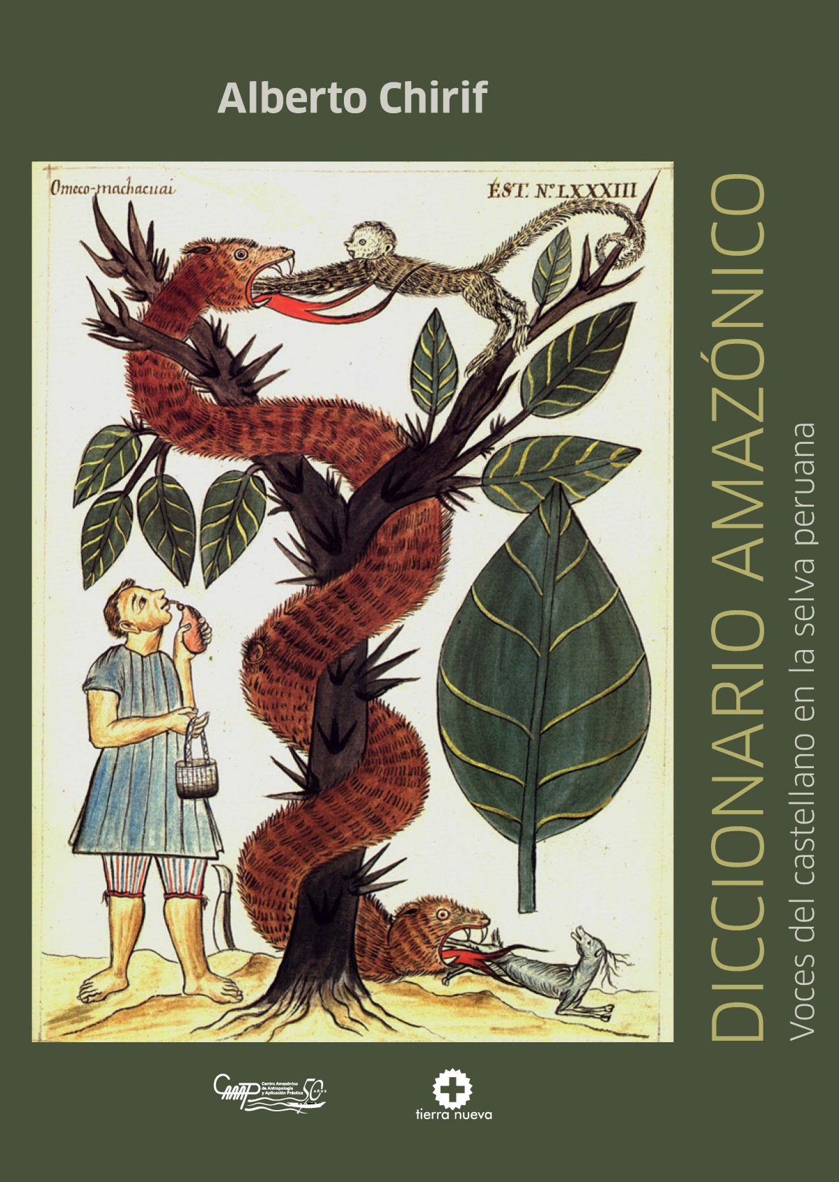 Diccionario amazónico. Voces del castellano en la selva peruana (segunda edición)