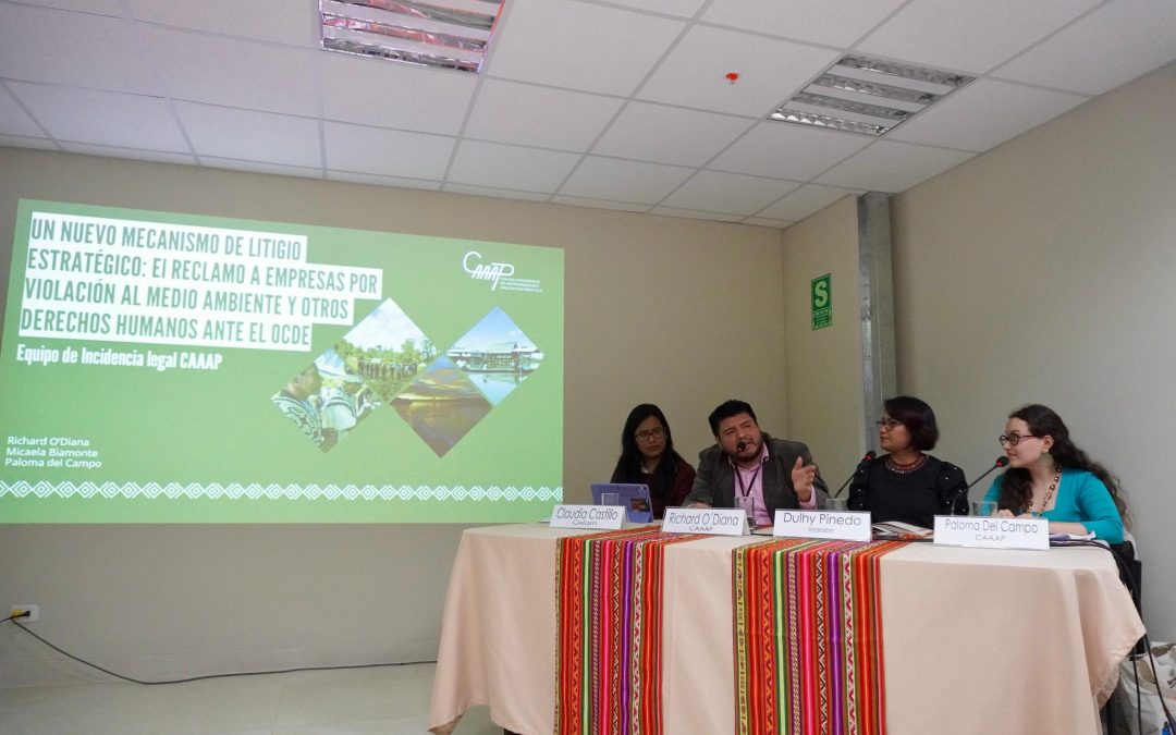 Amazonía y derechos humanos: Expertos plantean urgencia de políticas efectivas ante conflictos socioambientales en foro nacional