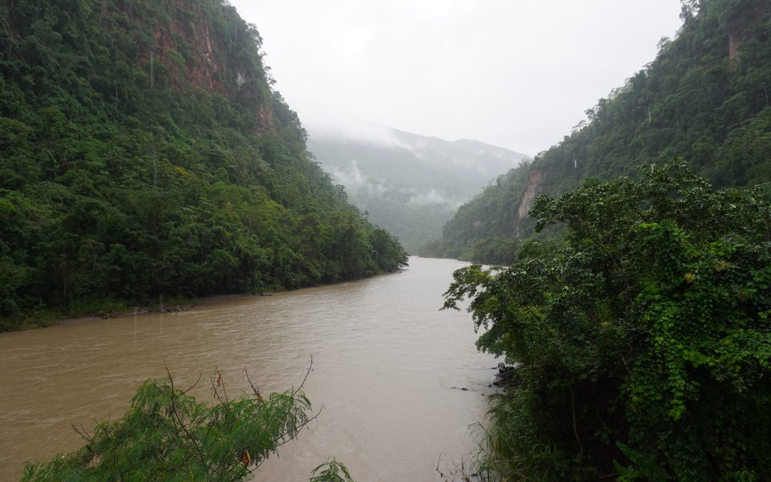 Los rostros detrás de las leyes que amenazan a la Amazonía