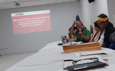 San Martín reporta avances muy limitados en la protección de defensores indígenas frente a economías ilícitas