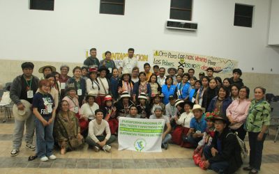 Solo 20% de avance: afectados por metales tóxicos demandan al Gobierno ampliar el plan para su atención