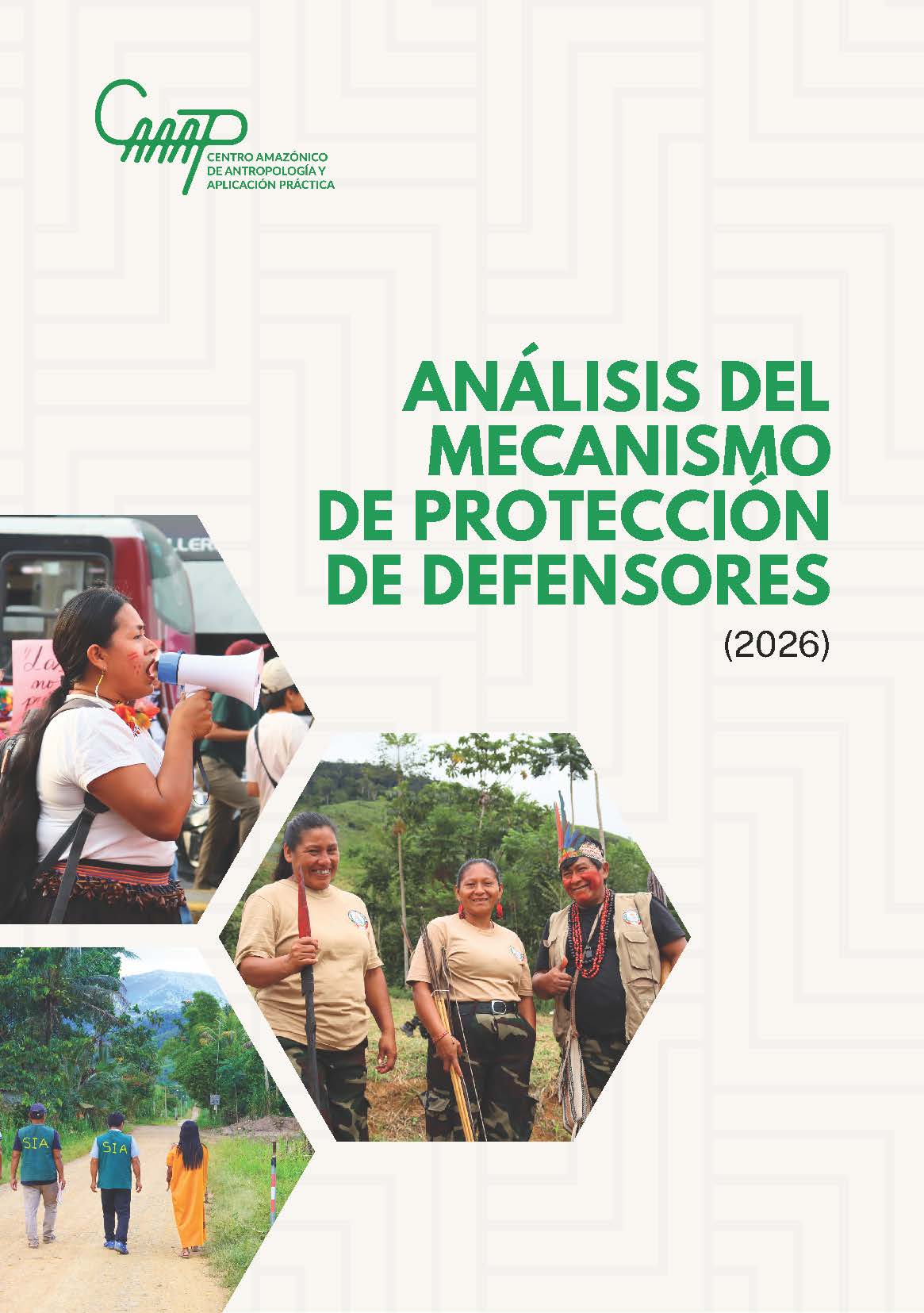 Análisis del mecanismo de protección de defensores
