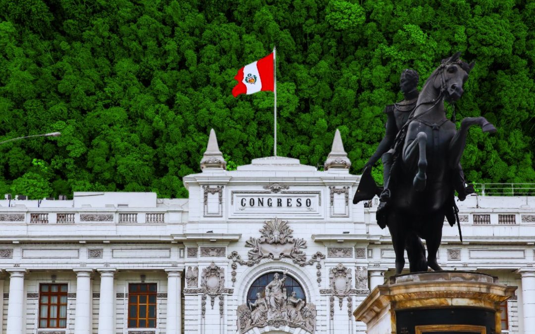 Pedido de facultades del Poder Ejecutivo: una amenaza a los pueblos indígenas